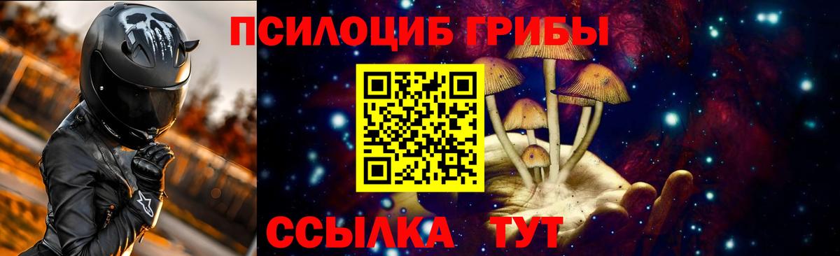 Галлюциногенные грибы Psilocybe Кулебаки